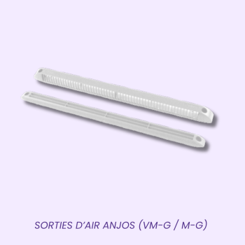FR Sorties Anjos FR Sorties Anjos